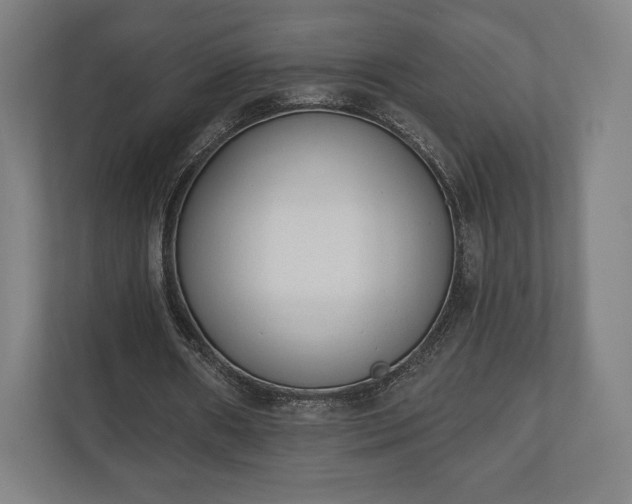 X0000110860482200906251211