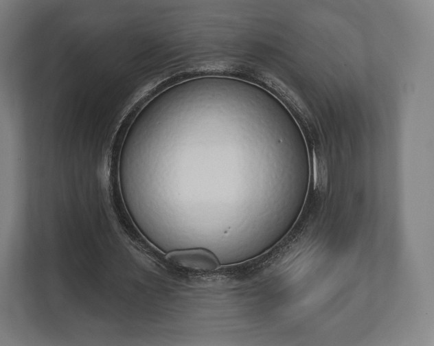 X0000110860483200906251211