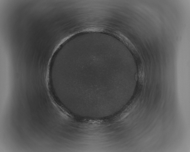 X0000110860484200906251211