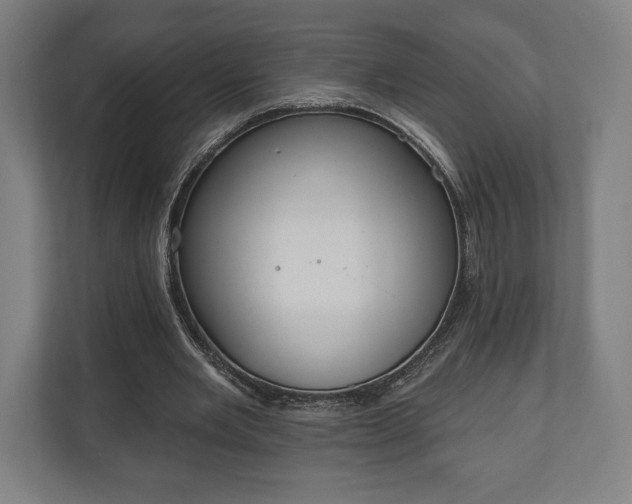 X0000110860485200906251211