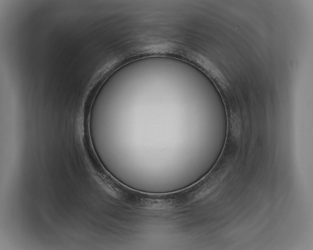 X0000110860486200906251211