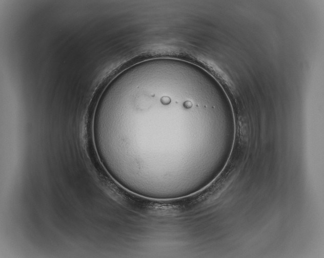 X0000110860487200906251211