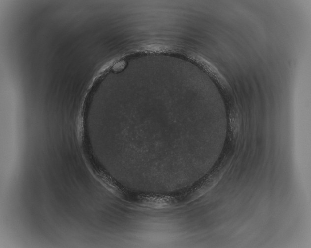 X0000110860488200906251211