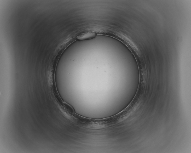 X0000110860489200906251211