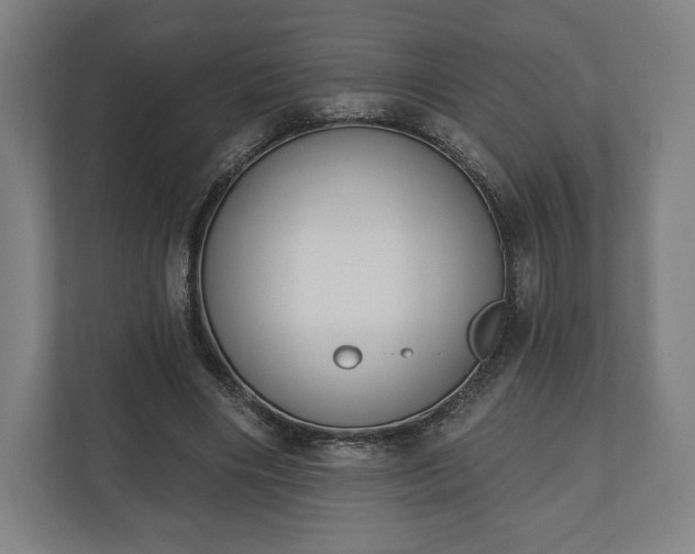 X0000110860490200906251211