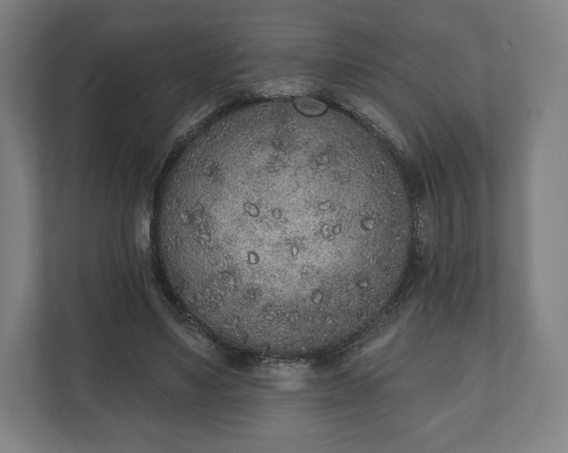 X0000110860491200906251211