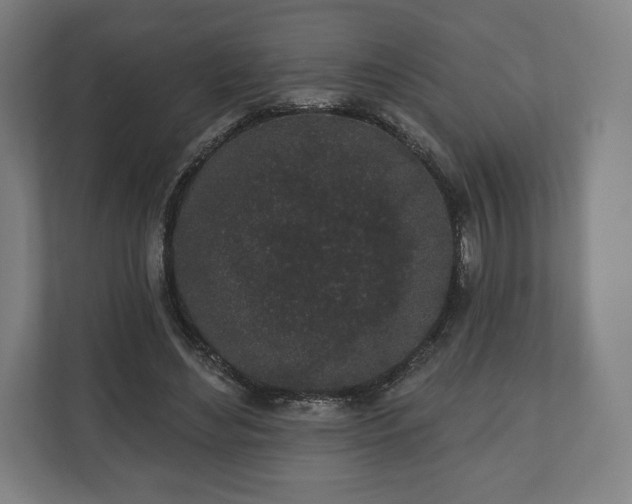 X0000110860492200906251211