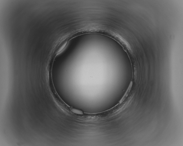 X0000110860493200906251211