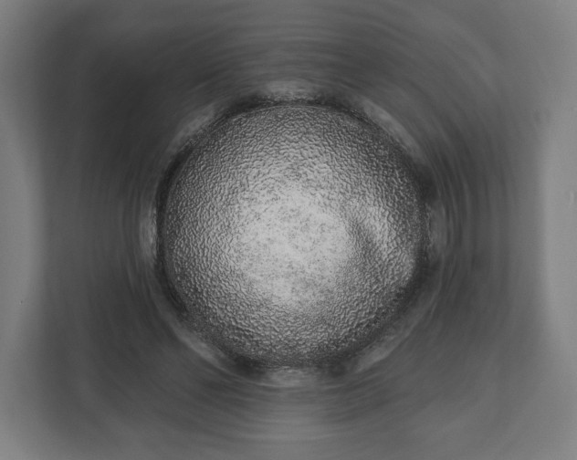 X0000110860494200906251211