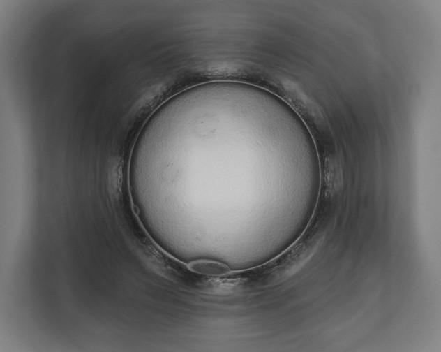 X0000110860495200906251211