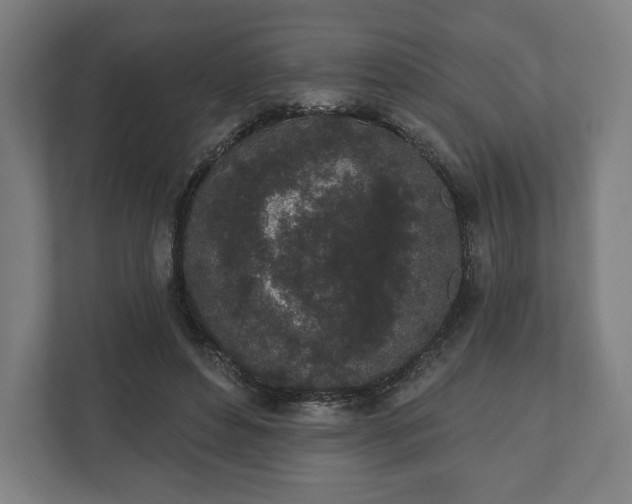 X0000110860496200906251211