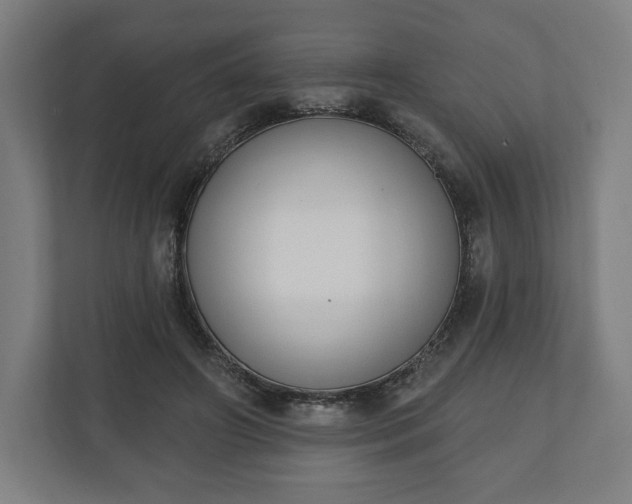 X0000110860498200906251211