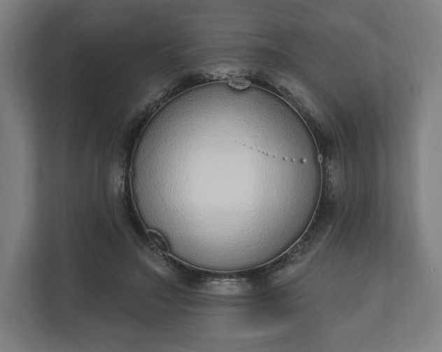 X0000110860499200906251211