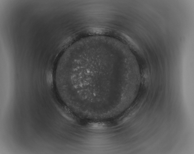 X0000110860500200906251211