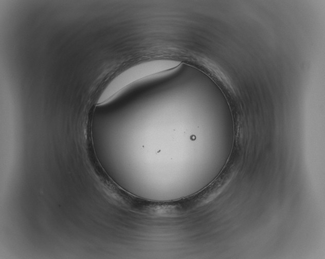 X0000110860501200906251211