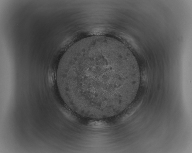 X0000110860503200906251211