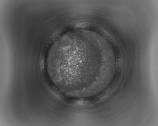 X0000110860504200906251211