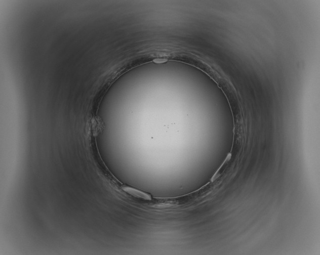 X0000110860505200906251211