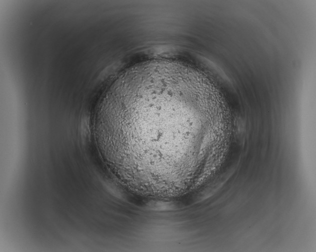 X0000110860506200906251211