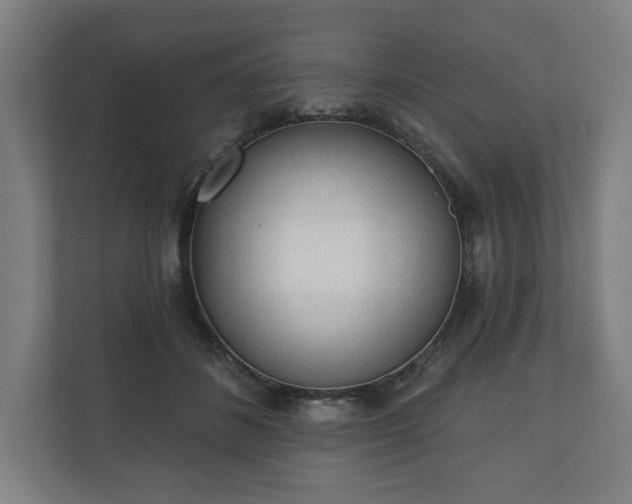 X0000110860508200906251211