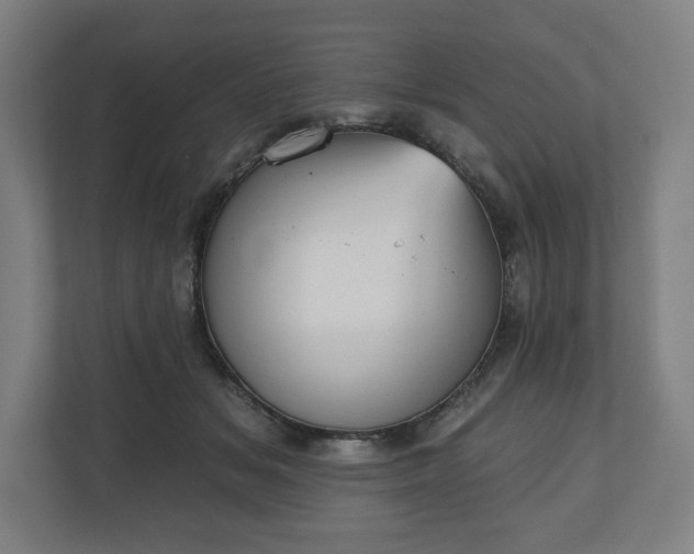 X0000110860509200906251211