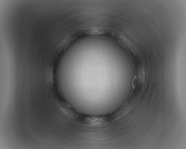 X0000110860512200906251211