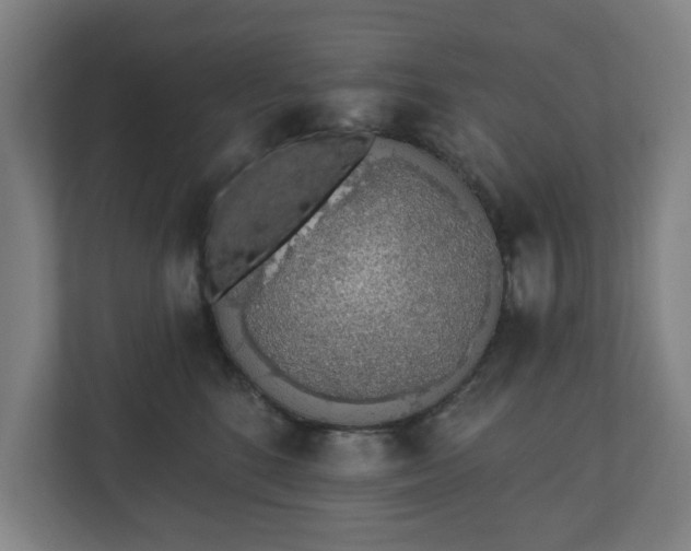 X0000110860520200906251211