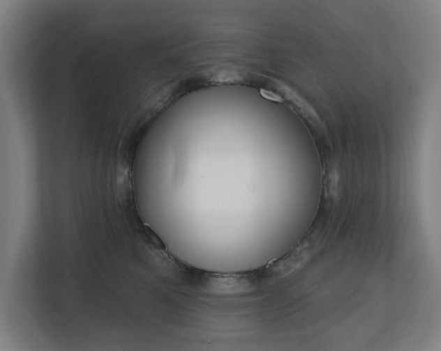 X0000110860521200906251211