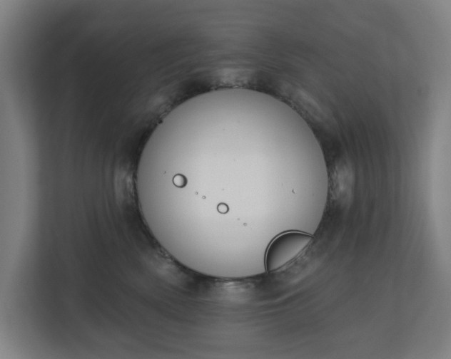 X0000110860522200906251211