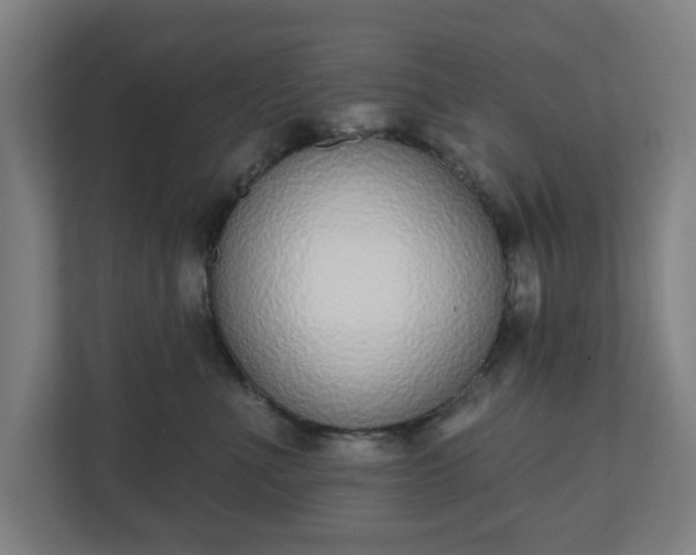 X0000110860523200906251211