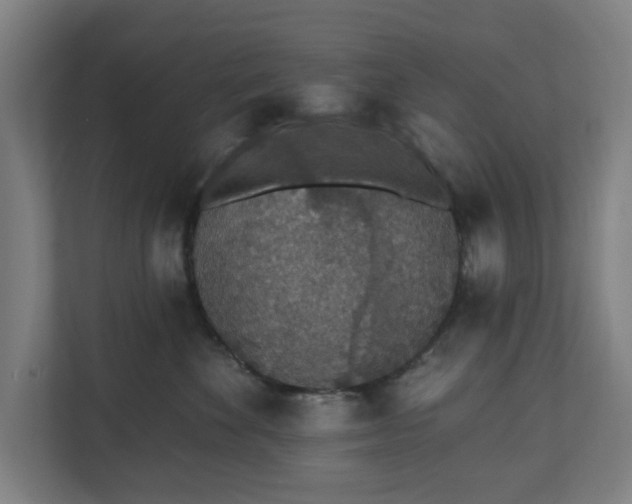 X0000110860524200906251211