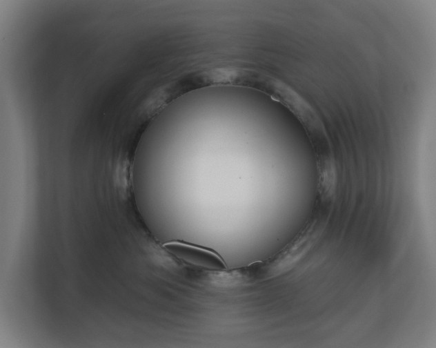 X0000110860525200906251211