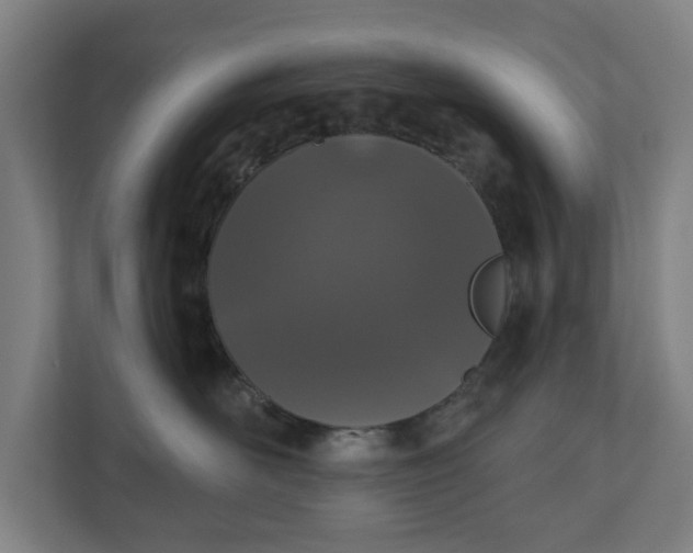 X0000110860526200906251211