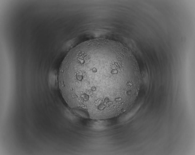 X0000110860527200906251211