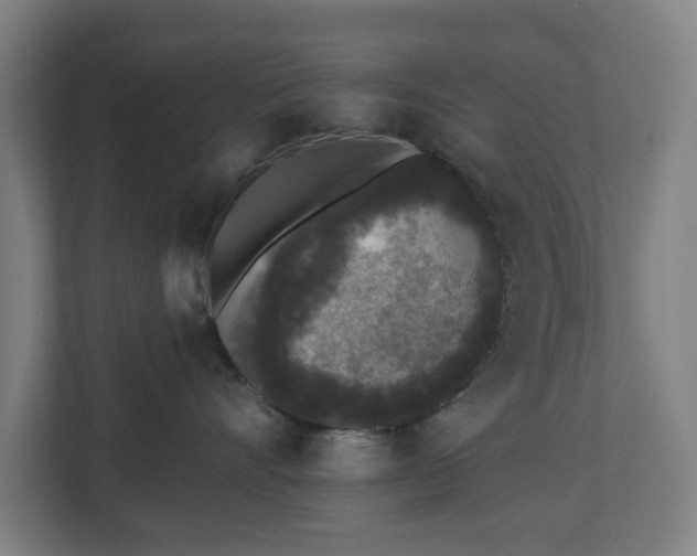 X0000110860528200906251211