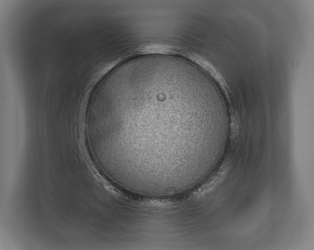 X0000110860529200906251210