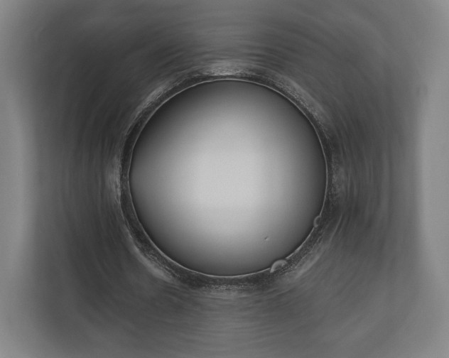 X0000110860530200906251210