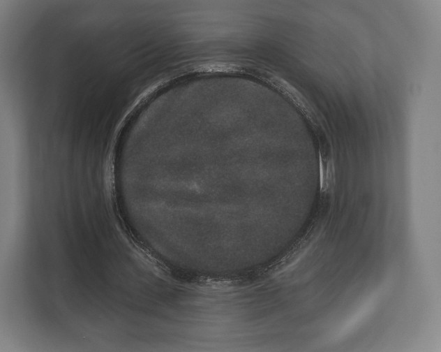 X0000110860531200906251210