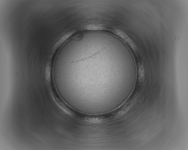 X0000110860533200906251210