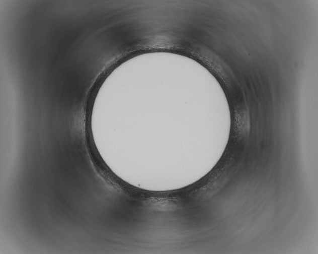 X0000110860534200906251210