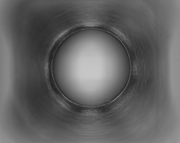 X0000110860535200906251210