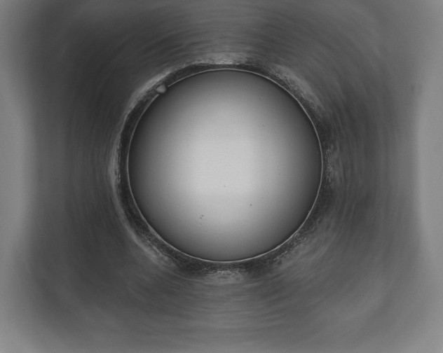 X0000110860536200906251210