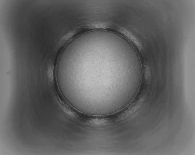 X0000110860537200906251210