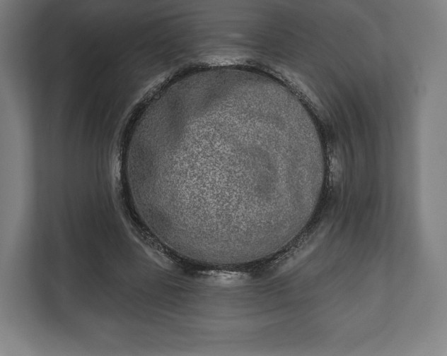 X0000110860539200906251210