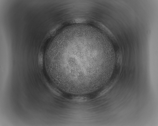 X0000110860542200906251210