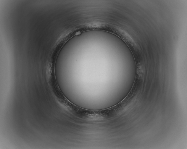 X0000110860544200906251210