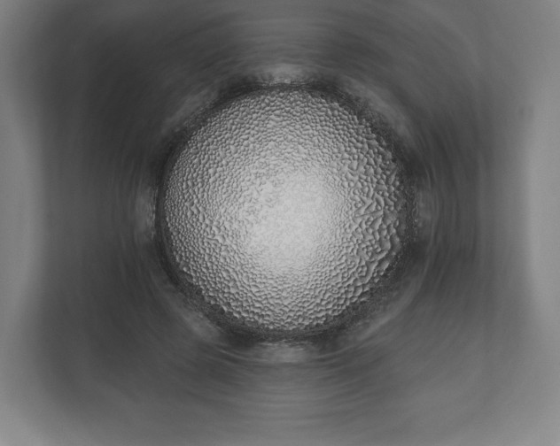 X0000110860545200906251210