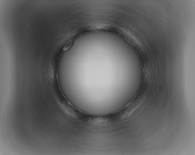 X0000110860546200906251210