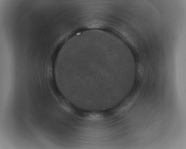 X0000110860547200906251210