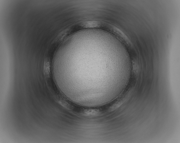 X0000110860549200906251210